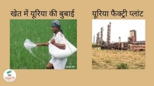 यूरिया का सूत्र
