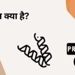 प्रोटीन क्या है