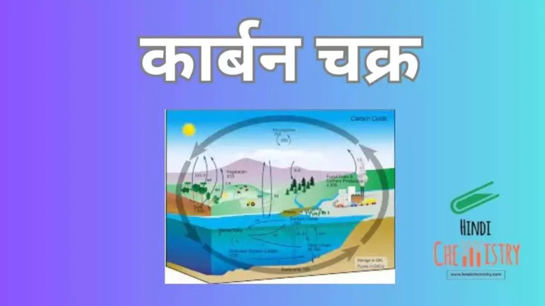 कार्बन चक्र क्या है? इसका महत्व, प्रकार, दुष्प्रभाव, चित्र, तथा प्रक्रिया